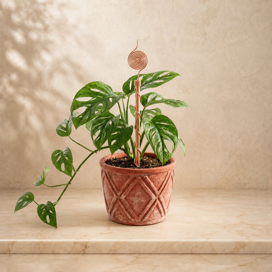 Handcrafted Pure Copper Plant Spiral