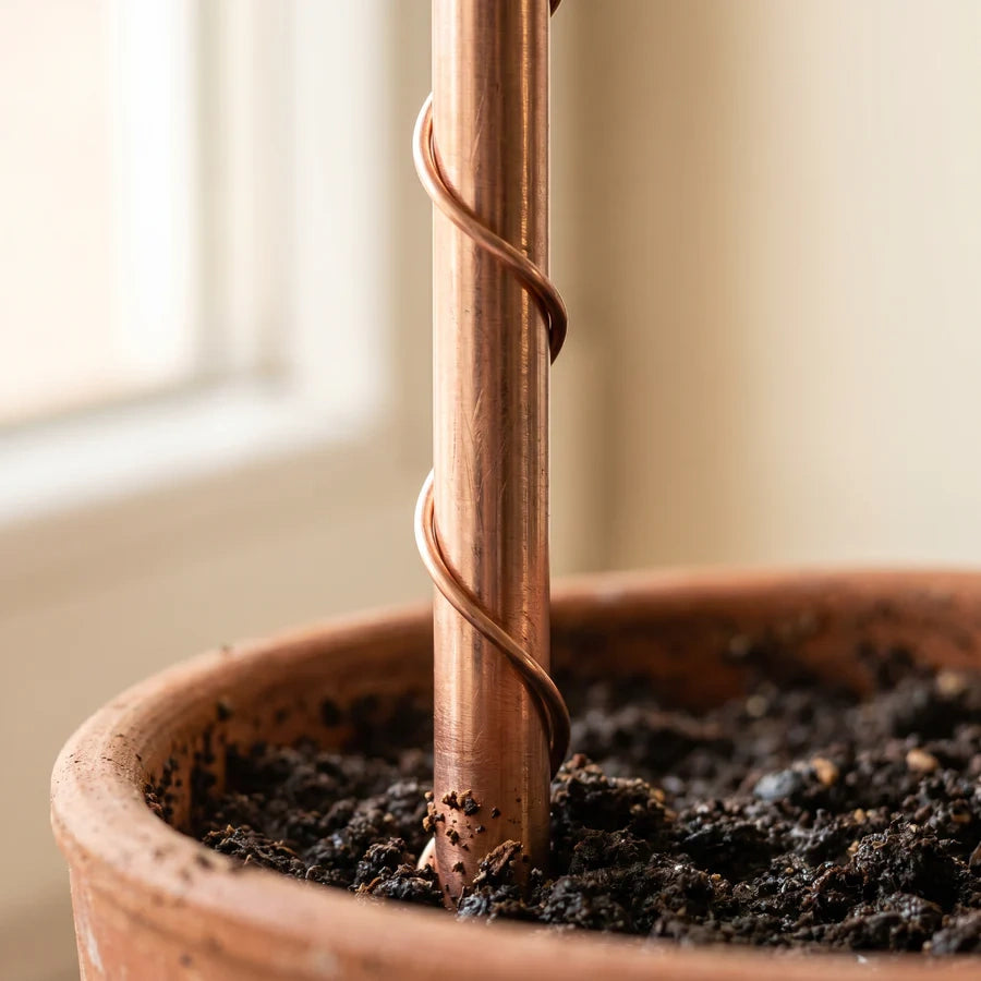 Handcrafted Pure Copper Plant Spiral